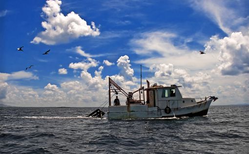 В Тихом океане пропало судно с 49 рыбаками