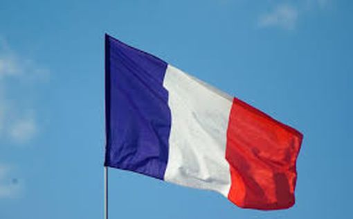 Франция: ультраправый эксперт будет баллотироваться на выборах