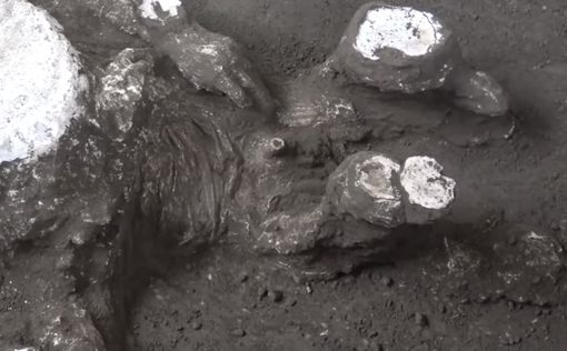 Новая находка в Помпеях: тела двух жертв извержения Везувия