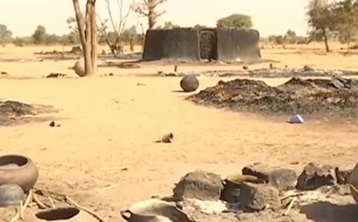Нападение на деревню в Мали: десятки убитых