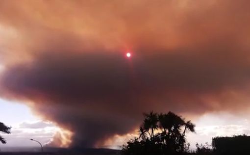 Лесные пожары бушуют в Новой Зеландии