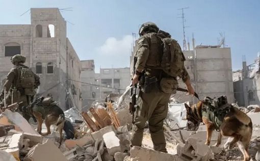 Уникальные достижения 162-й дивизии в подземной войне в Рафиахе