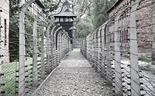 Пережившие нацистские лагеря, отметят 79-ю годовщину освобождения Освенцима