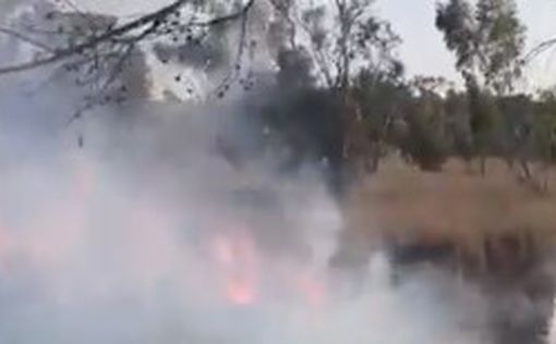 На юге Израиля вспыхнул пожар