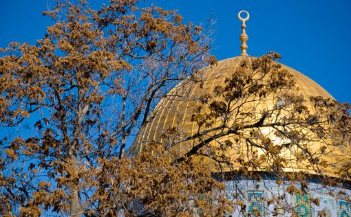 "Храмовая Гора и Иерусалим не несут важности в исламе"
