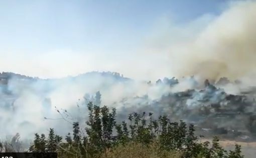 Пожар в Иудейских горах: эвакуированы 50 школьников