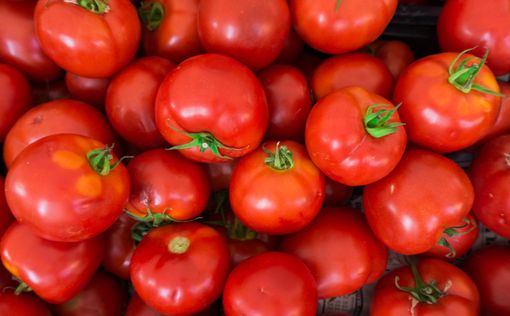 Употребление помидоров снижает риск развития инсульта