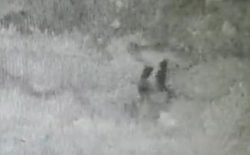 Попытка теракта в Кдумим: террорист с оружием прятался в кустах