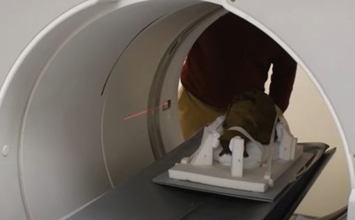 В Британии на чердаке нашли голову мумии: эксперты озадачены