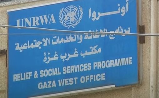 Италия присоединилась к странам, приостановившим финансирование UNRWA