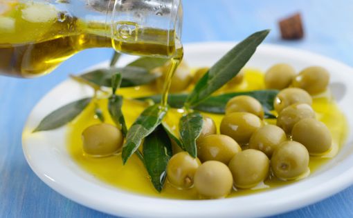 Оливковое масло укрепляет кости