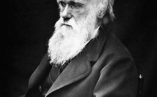 Британские исследователи повторят путешествие Чарльза Дарвина