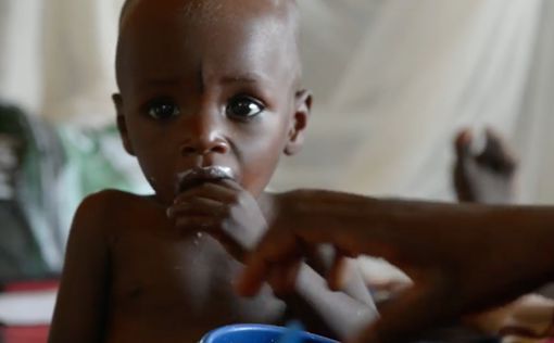 ООН: количество голодающих в мире растет из-за пандемии