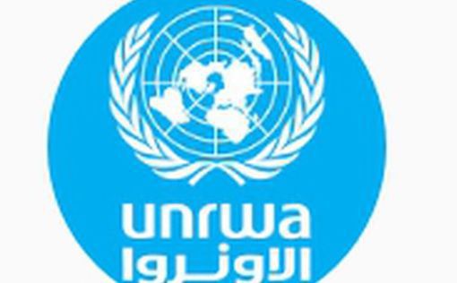 В Норвегии выдвинули UNRWA на Нобелевскую премию мира