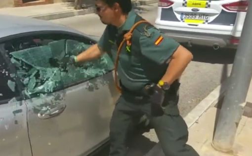 Полицейские выбили стекло машины, чтобы спасти пса от смерти