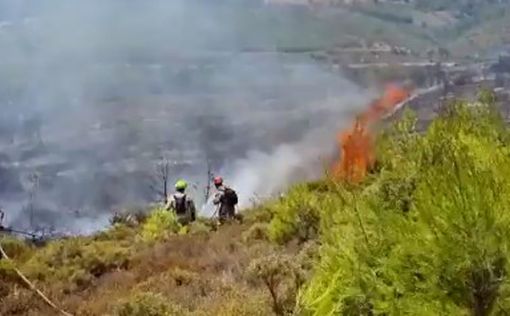 Израильские пожарные тушат огонь в Греции: видео