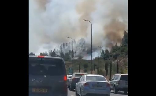 12 самолетов заняты на тушении большого пожара в районе Иерусалима