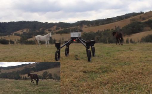 В Австралии провели испытания робота-пастуха