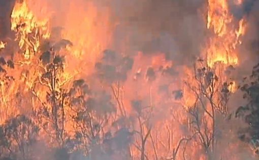 Австралия подключит резервистов для борьбы с пожарами