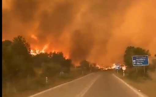 Адские пожары в Греции подбираются к Афинам