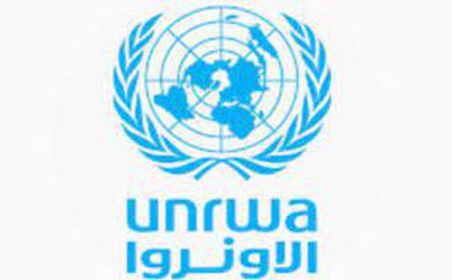 Ирландия пожертвует €20 млн UNRWA из-за жалоб главы агентства