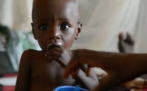 ООН: голод в Африке достигнет рекордного уровня