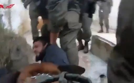 Овчарка спецназа взяла в плен террориста ХАМАСа