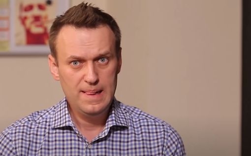 ОЗХО получила от Германии запрос по делу Навального