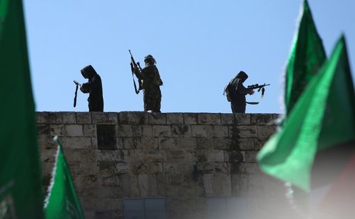Среди палестинцев растет поддержка ХАМАСа