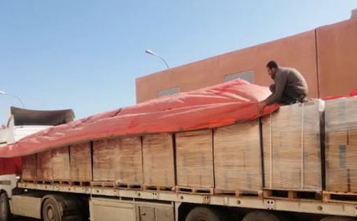 В Газу прибыли 103 грузовика с гуманитарной помощью