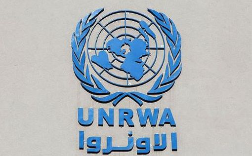 В UNRWA жалуются: не все доноры возобновили финансирование
