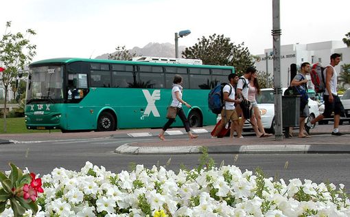 Ночные автобусы на юге Израиля возобновляют свою работу