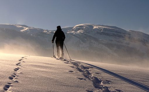 Самая быстрая: Британка прошла Антарктиду на лыжах чуть более чем за месяц