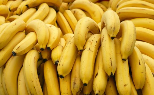 Вору скормили 48 бананов, чтобы извлечь золотую цепочку