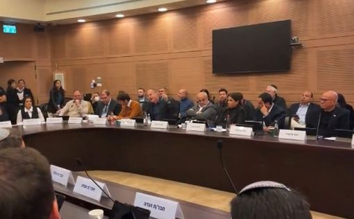 14 членов комиссии Кнессета проголосовали за отстранение депутата Касифа