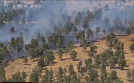 Пожар в Иерусалимских горах: шоссе №1 открыто