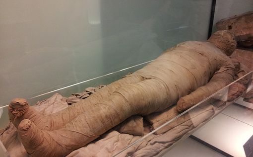 Ученые сделали МРТ древнеегипетской мумии