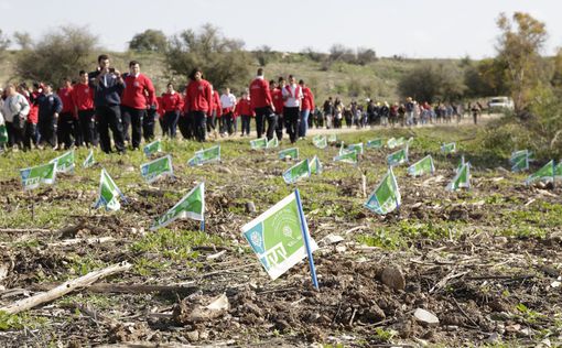 Сотни добровольцев сажали деревья в честь Ту би-шват