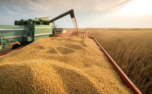 Румыния введет запрет на ввозз украинской агропродукции на 30 дней