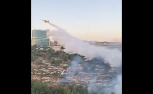 Сильный пожар в Иерусалиме, началась эвакуация домов