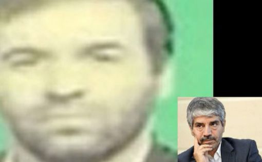 В ЕС осудили убийство иранского физика-ядерщика