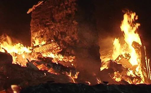 Пожар в музее Бразилии уничтожил достояние человечества