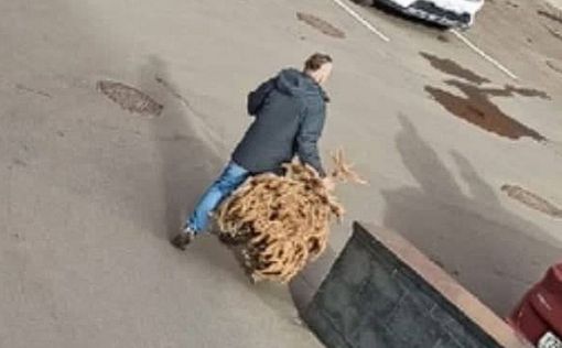 Москвич три года не решался выбросить новогоднюю елку