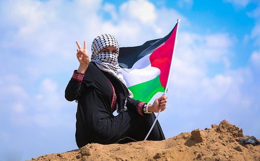 Кнессет запретил поднимать палестинские флаги в университетах Израиля