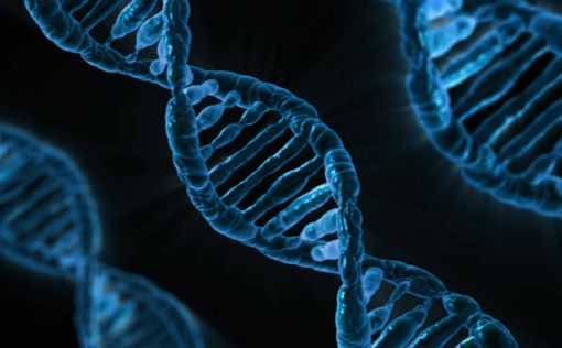 Первая ДНК - молекула жизни появилась совершенно случайно