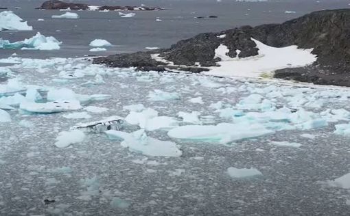 Каждый литр воды в Антарктике кишит пластиком