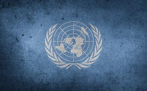 Сотрудница ООН осудила "Исламский джихад" и потеряла работу