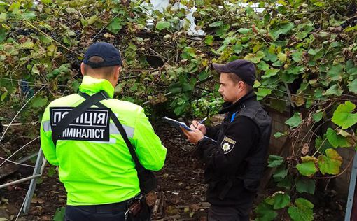 В освобожденном селе Харьковской области нашли мумифицированные тела
