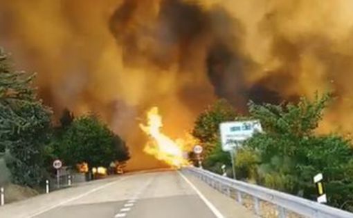 В Испании выгорело больше 20 тысяч гектаров леса