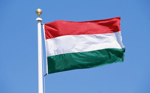Президент Венгрии переизбран по итогам второго тура